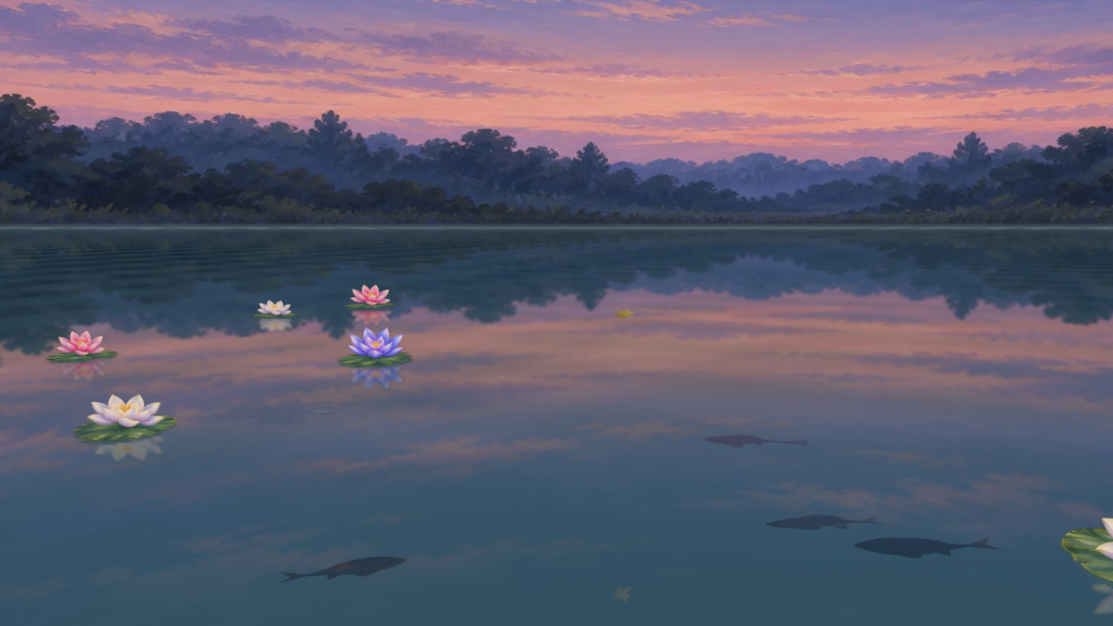 노을빛 하늘 아래 연꽃과 물고기가 움직이는 Stillwater 연못 풍경